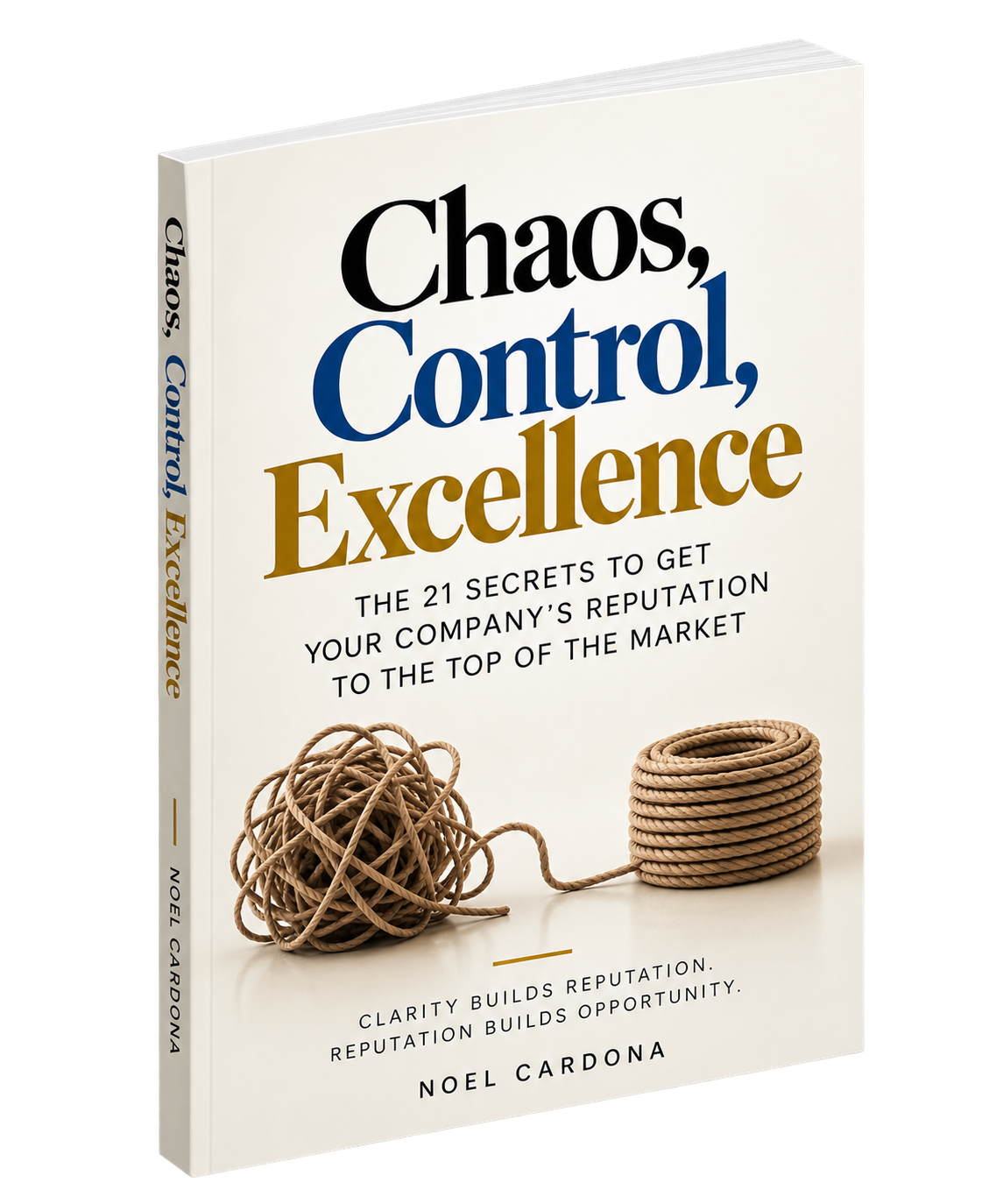 Chaos, Control, Excellence by Noel Cardona — 3D book mockup